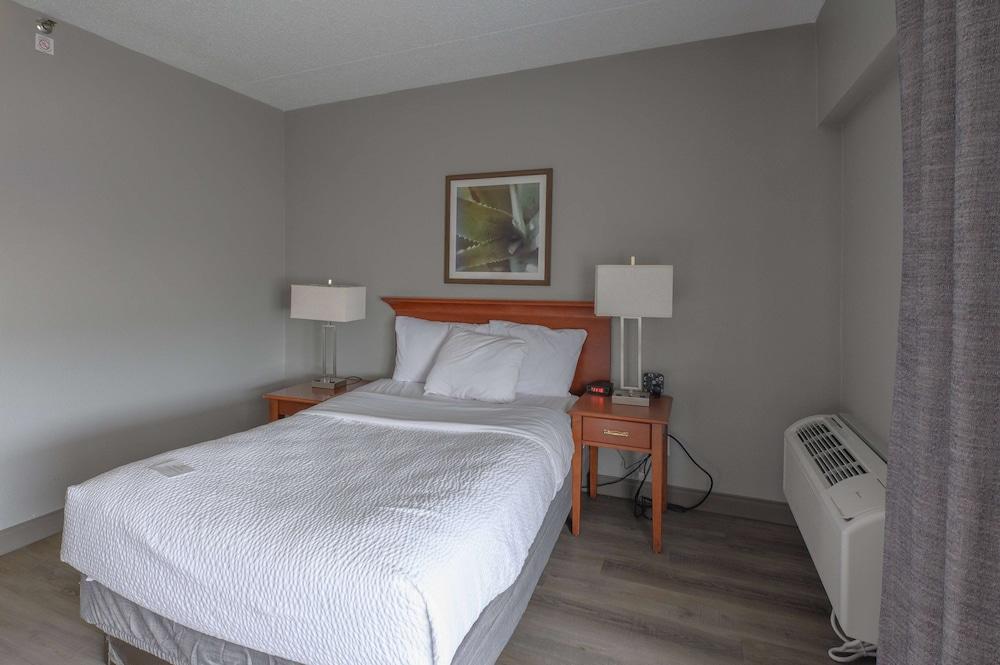La Quinta Inn & Suites by Wyndham New Haven - Room