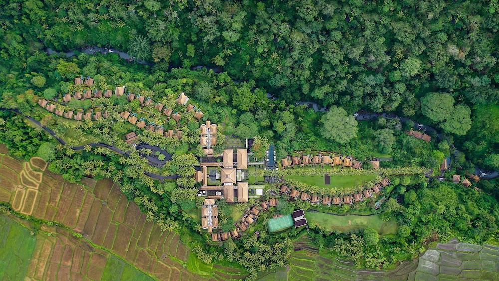 Maya Ubud Resort and Spa - Aerial View