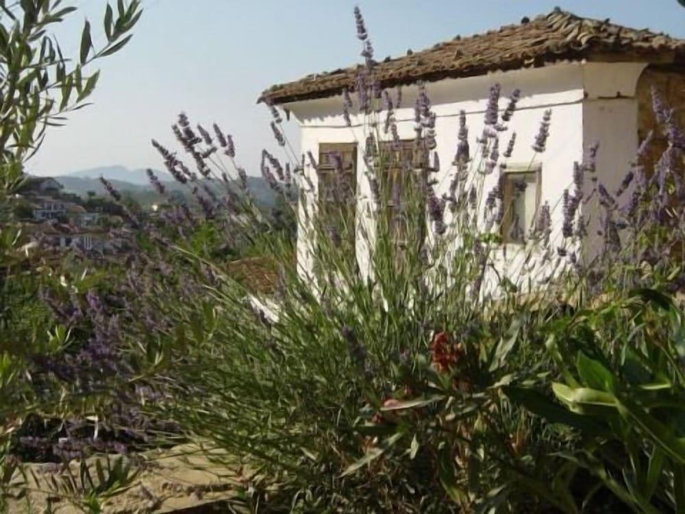 Terrace Houses Sirince - Fig, Olive Clockmakers and Grapevine - Exterior