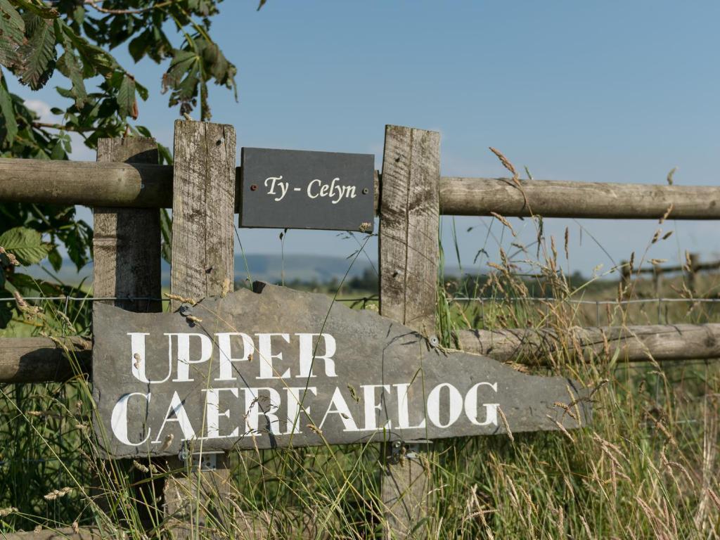 Upper Caerfaelog - Other