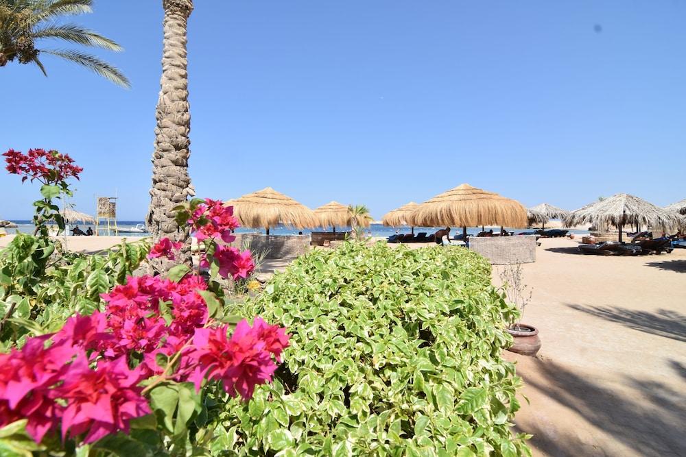 Sharm El Naga Resort and Diving Center - Beach