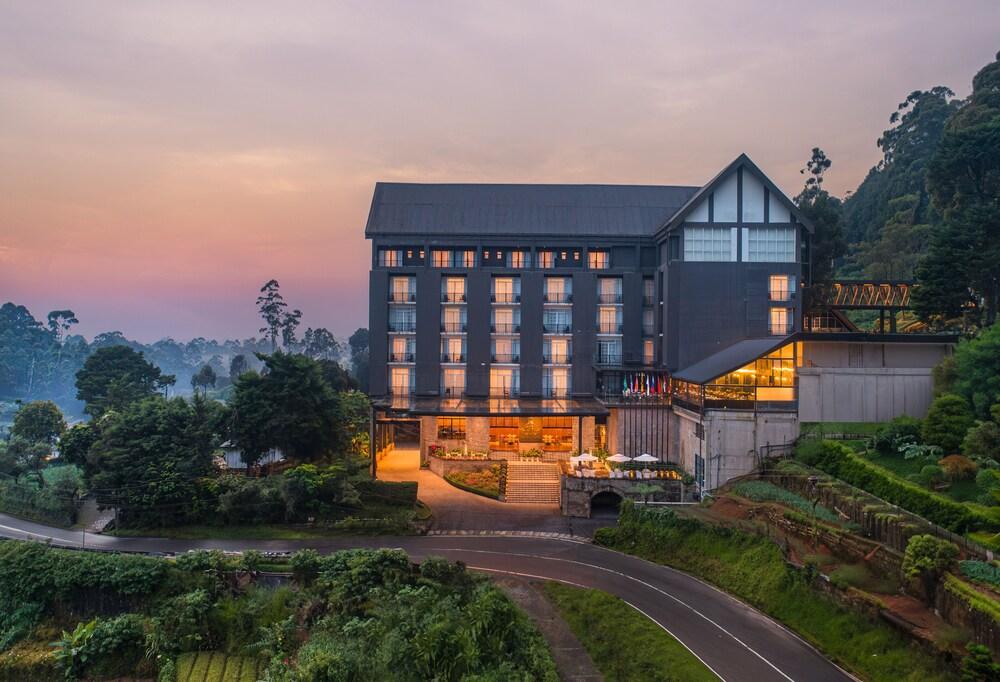 The Golden Ridge Hotel - Featured Image