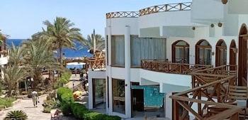 Red Sea Relax - Exterior