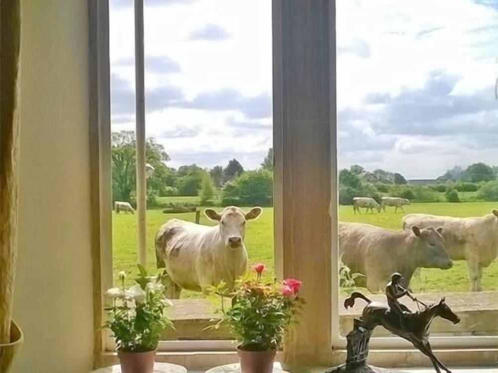 Battens Farm Cottages - B&B and Self-catering Accommodation - Featured Image