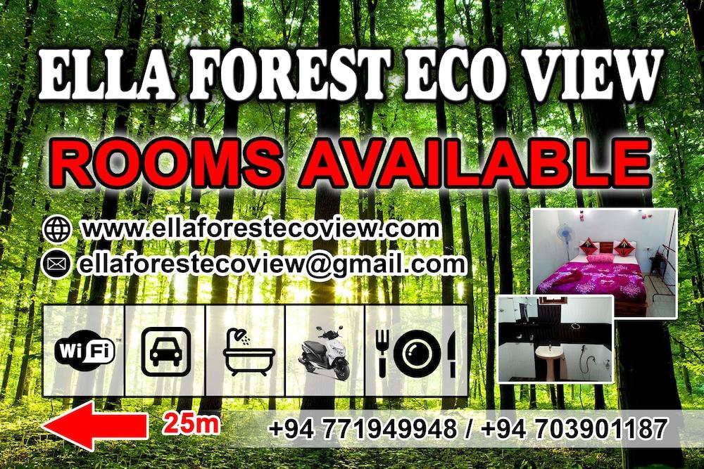 Ella Forest Eco View - Featured Image