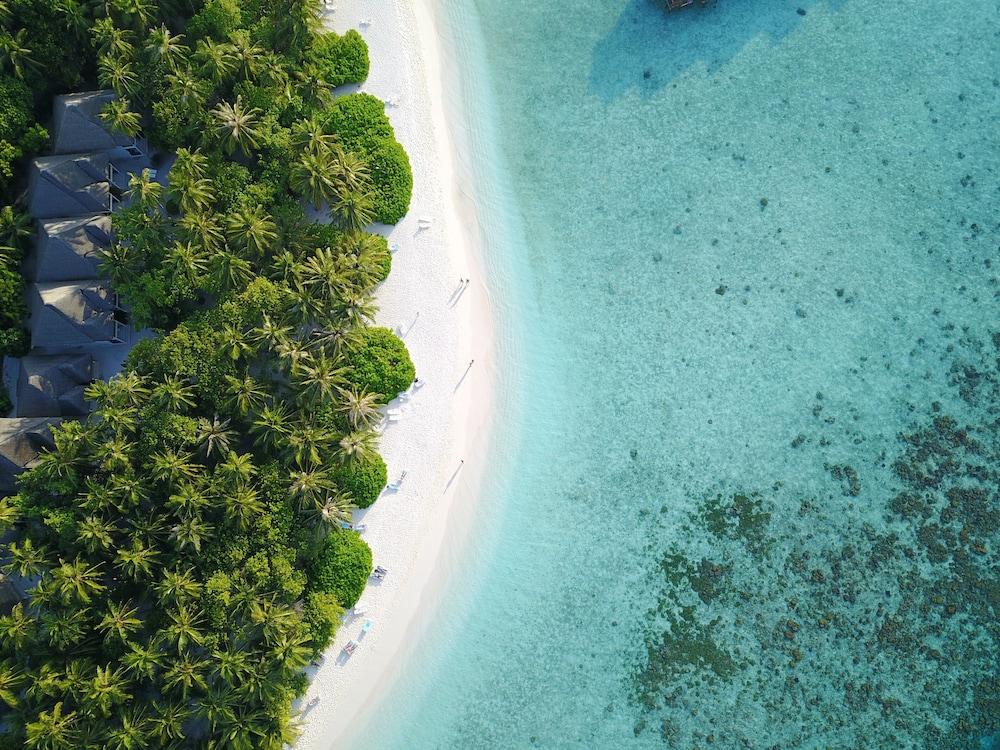 Fihalhohi Maldives - Beach