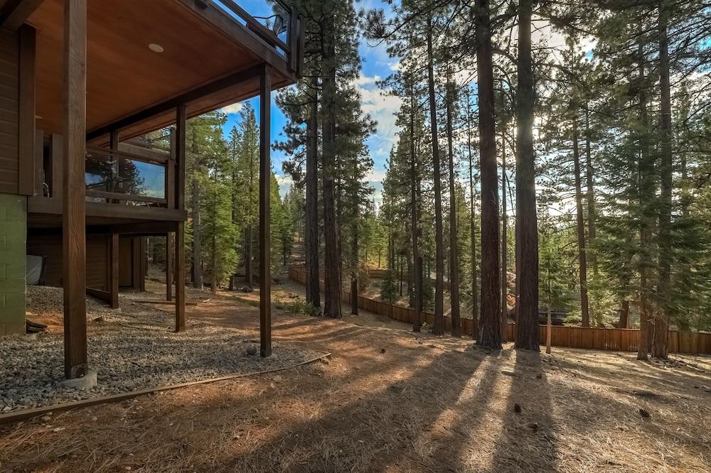 Golden Bear Lodge - Property Grounds