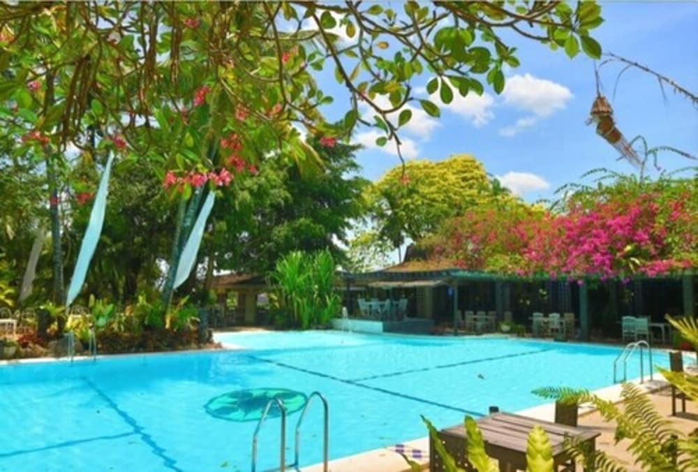 Mesra Business & Resort Hotel - Outdoor Pool