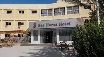 Sea Horse Hotel - Other