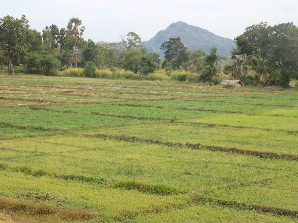 The Hideout Sigiriya - Property Grounds