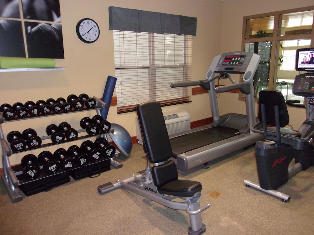 Holiday Inn Express & Suites Chicago West-Roselle, an IHG Hotel - Fitness Facility