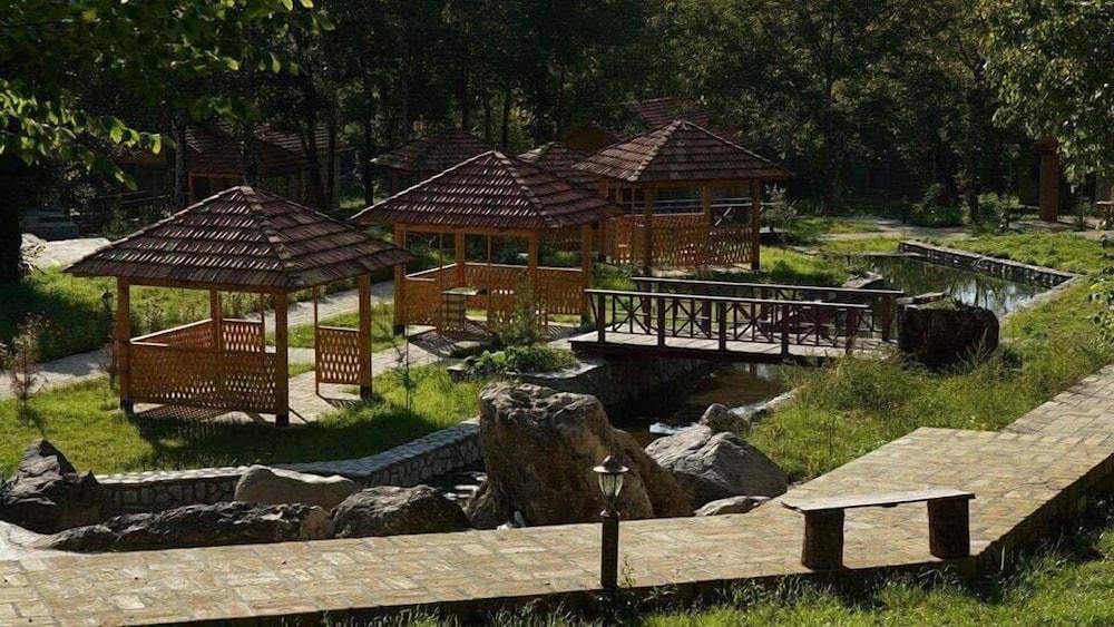 Talıstan Forest Park - Property Grounds
