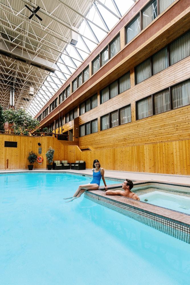 Forest Park Hotel - Indoor Pool