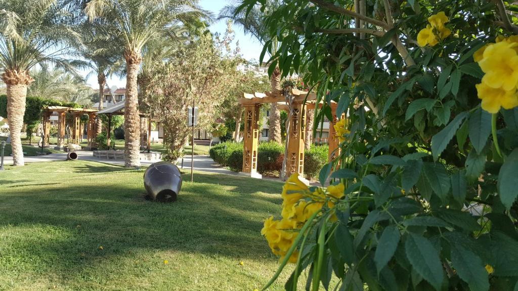 Grand Plaza Hotel Hurghada - null