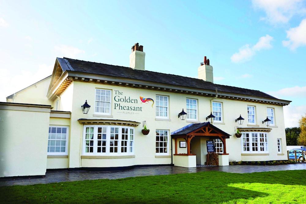 The Golden Pheasant - Featured Image