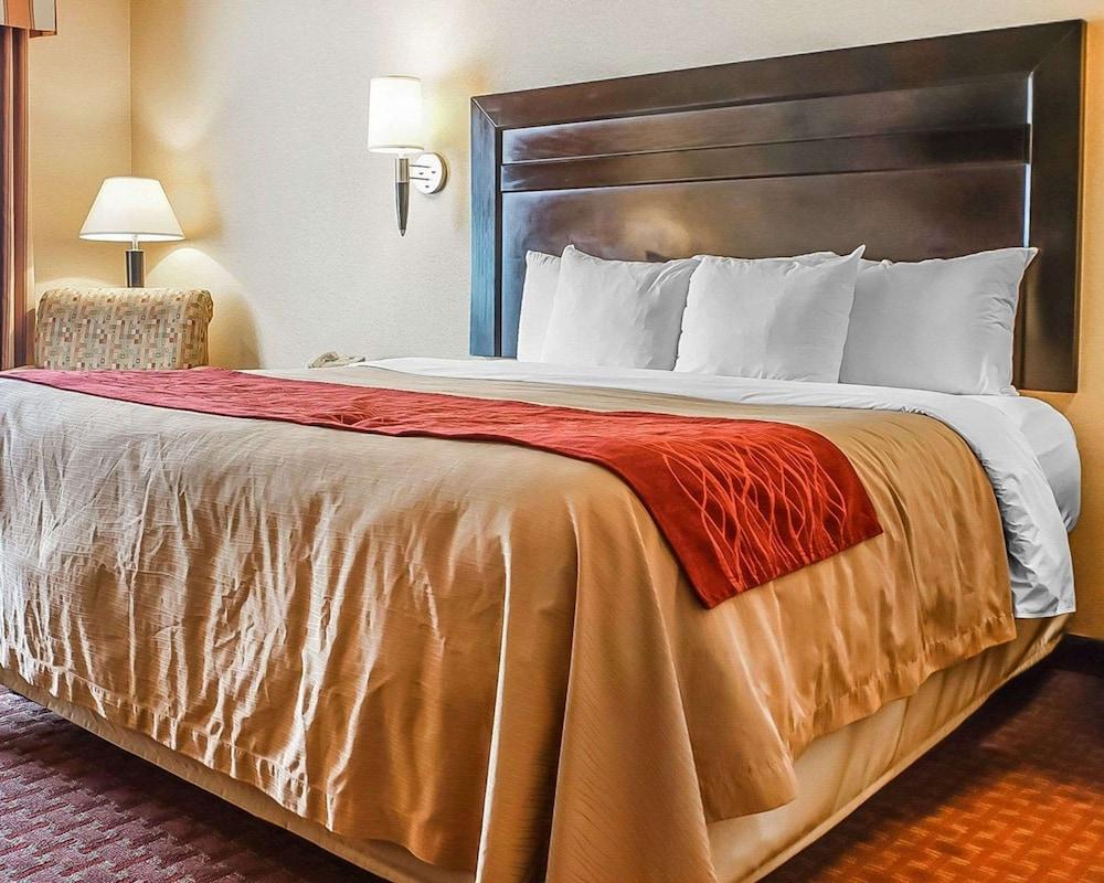 Quality Inn & Suites - Room