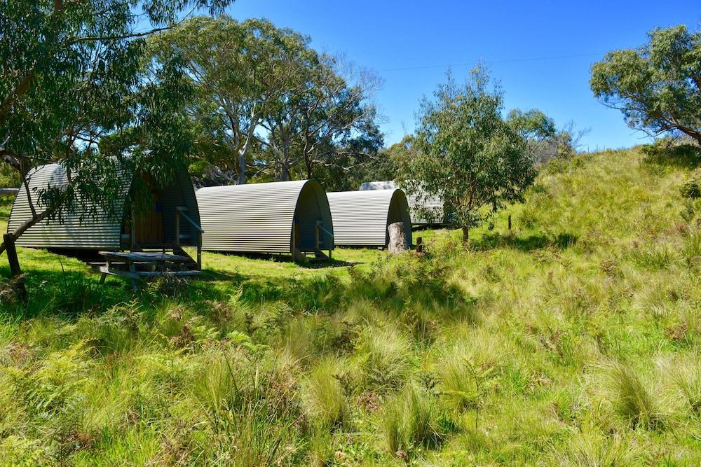 Bimbi Park - Camping Under Koala - Property Grounds