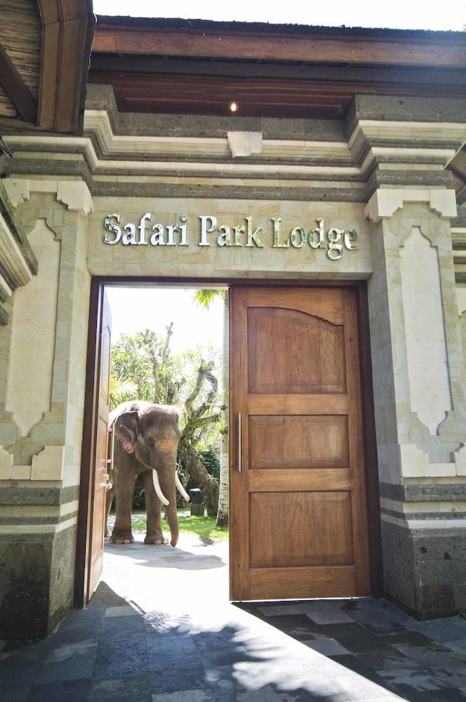 Mason Elephant Lodge - Interior Entrance