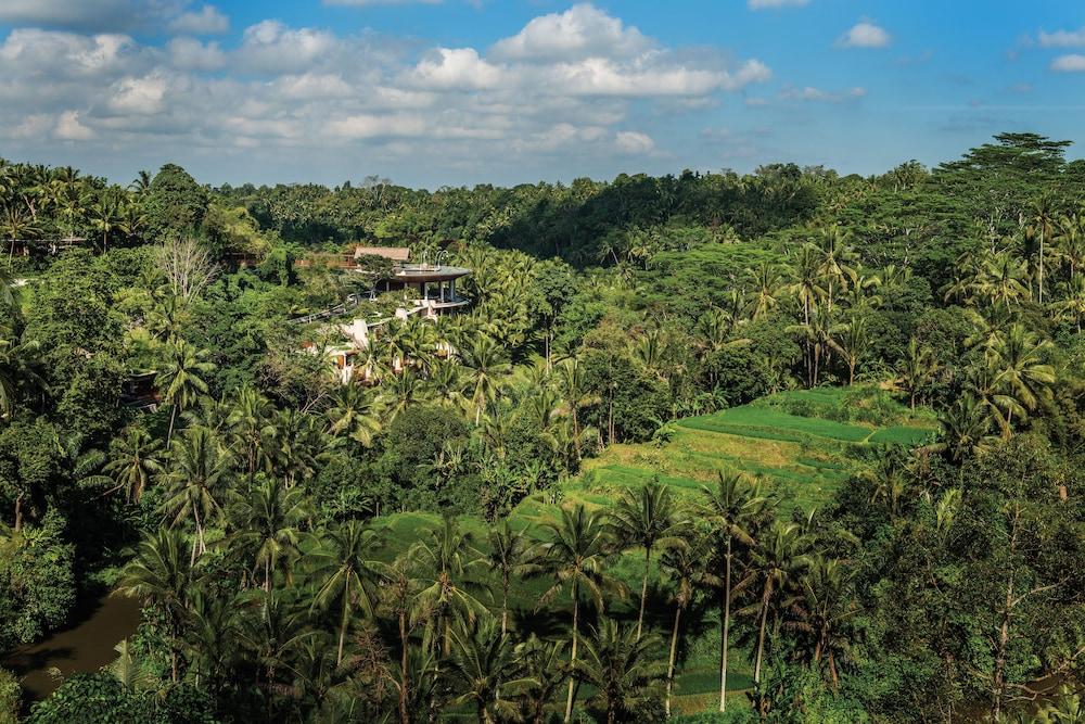 Four Seasons Resort Bali at Sayan - Aerial View
