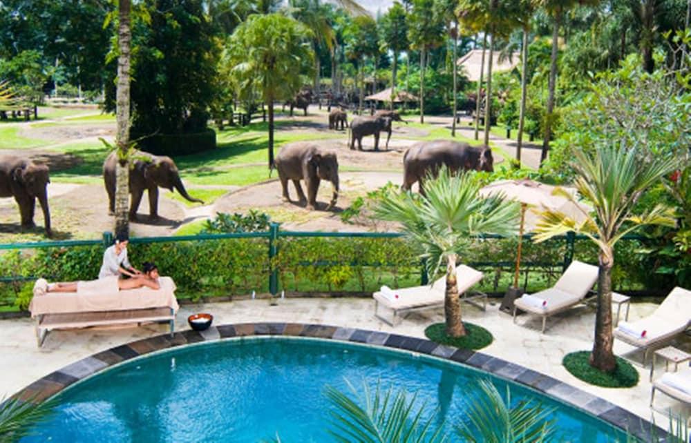 Mason Elephant Lodge - Outdoor Pool