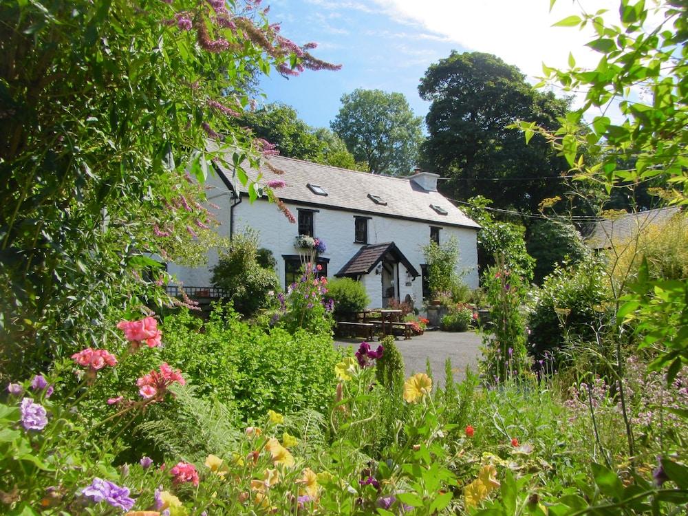 BRYNARTH COUNTRY GUEST HOUSE - Featured Image