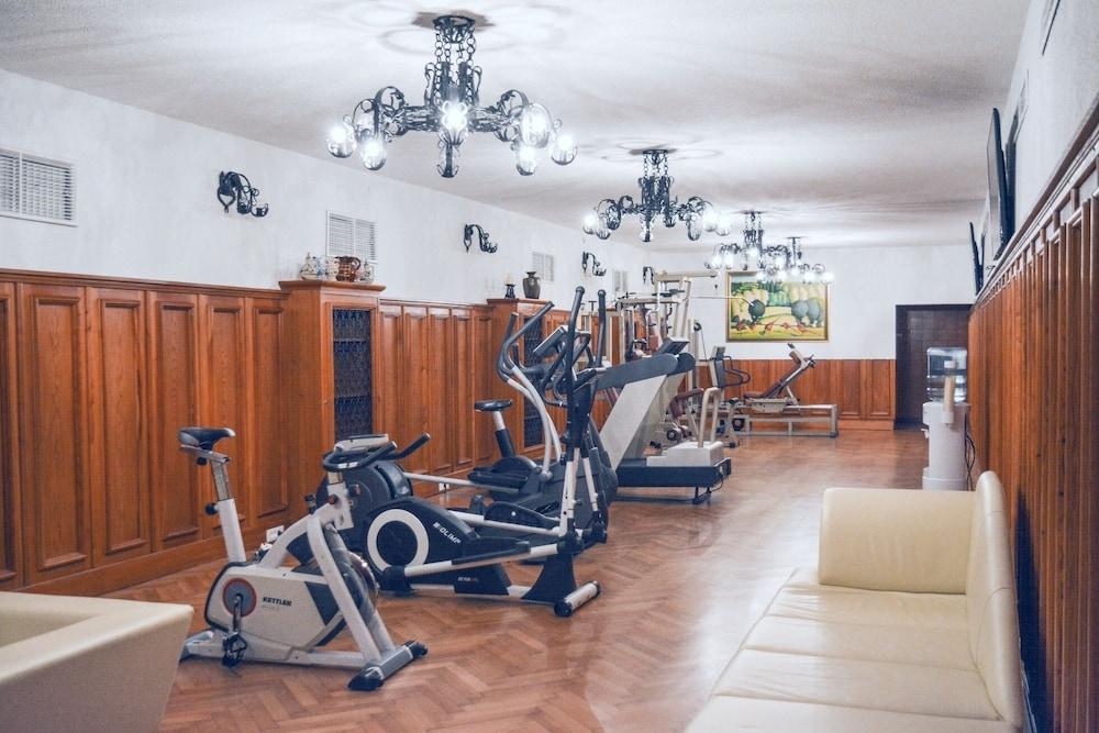 Hotel Vila Bled - Fitness Facility