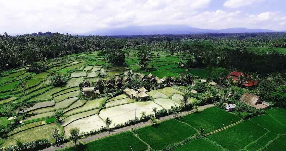 De Klumpu Bali – Eco Tradi Stay - Property Grounds
