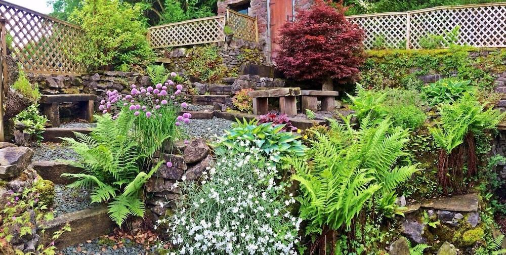 Cavedale cottage - Garden