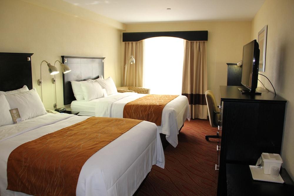 Comfort Inn & Suites LaGuardia Airport - Room