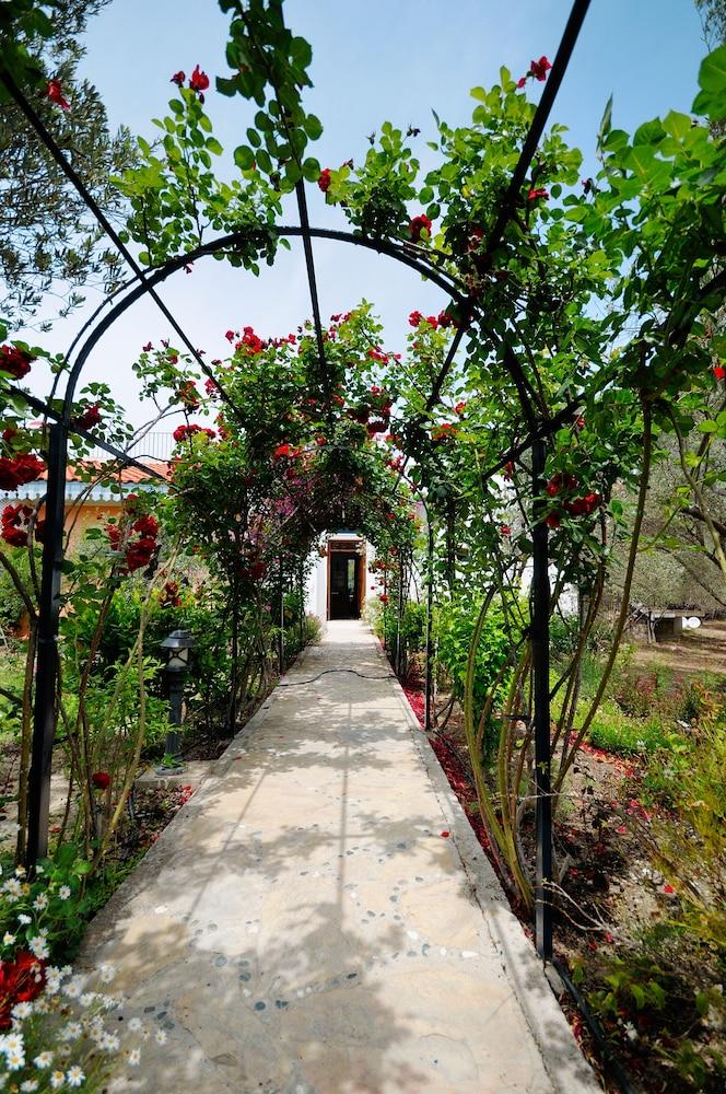 Olive Farm Of Datca - Interior Entrance