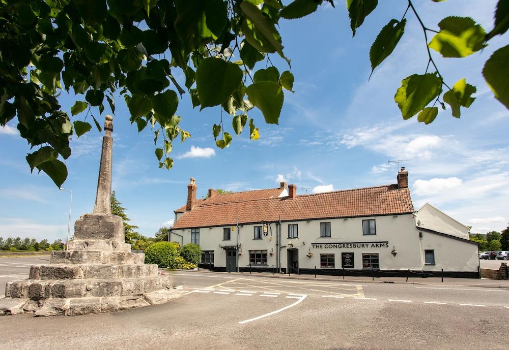 The Congresbury Arms - Featured Image
