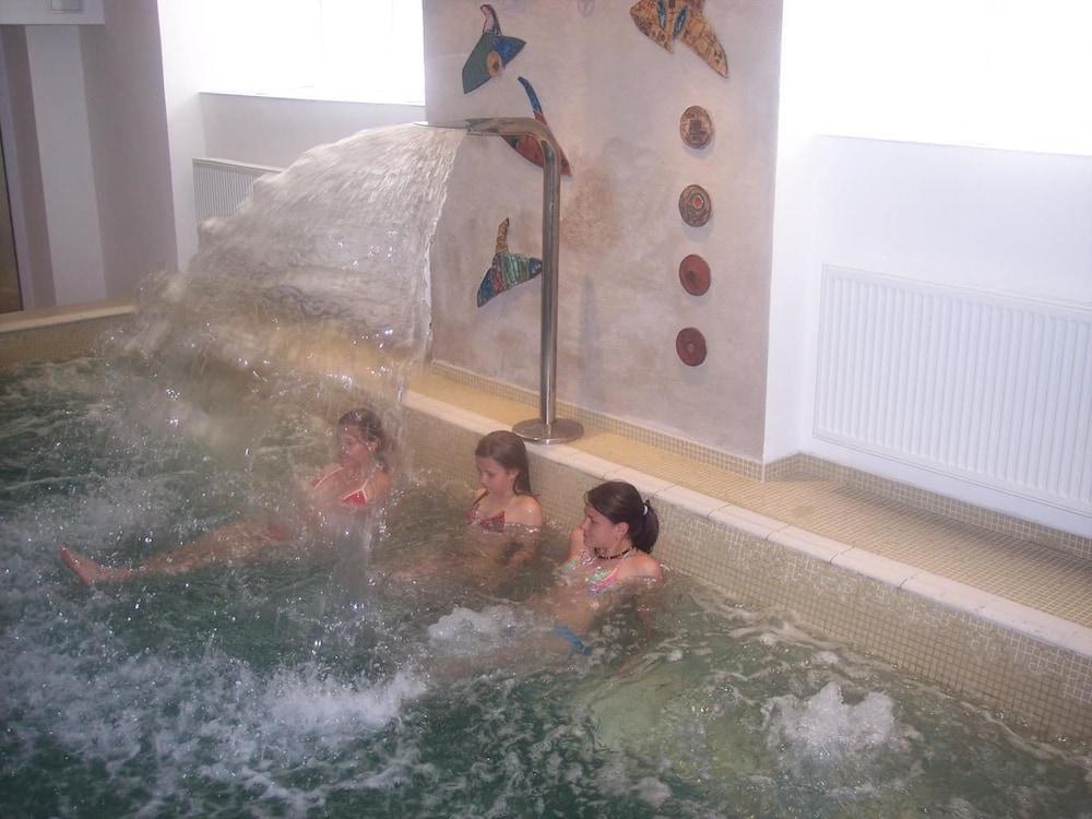 Wellness Hotel Centrál - Indoor Pool
