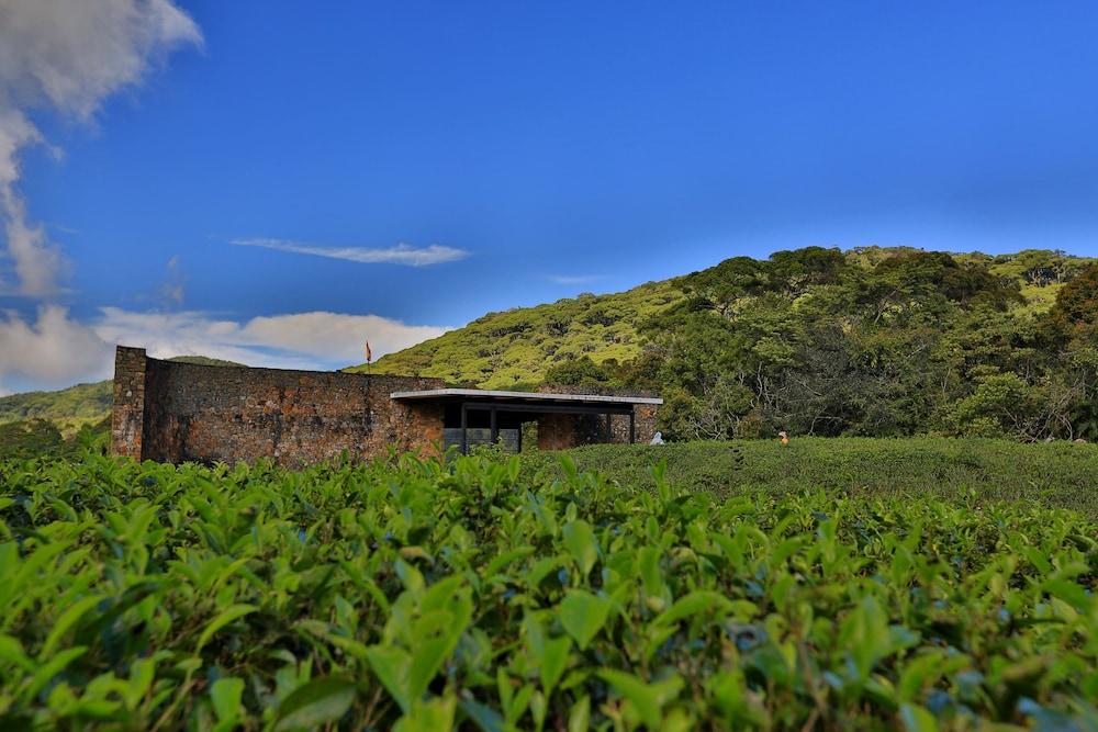 The Rainforest Ecolodge - Property Grounds