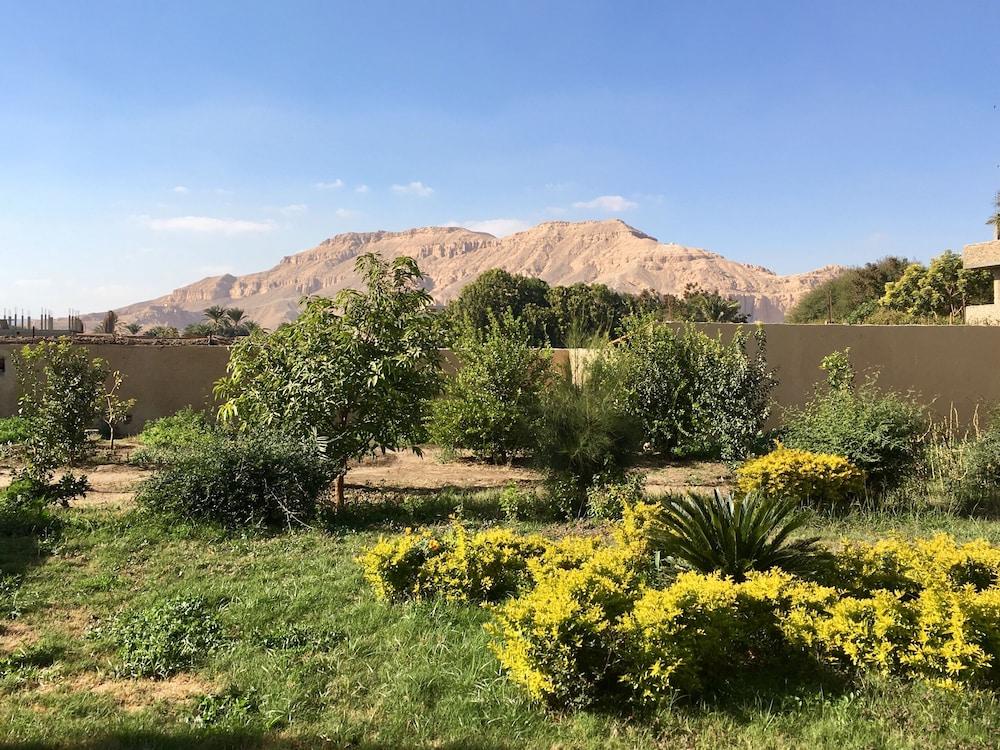 New Memnon Hotel - Property Grounds