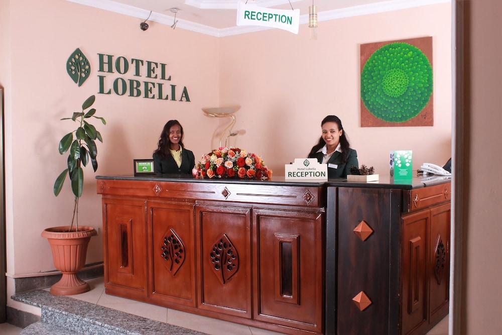 Hotel Lobelia - Reception