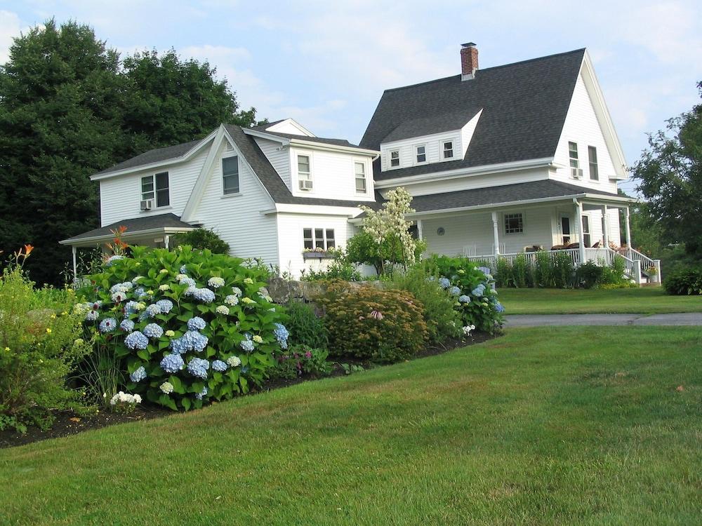Bittersweet Bed and Breakfast - Featured Image