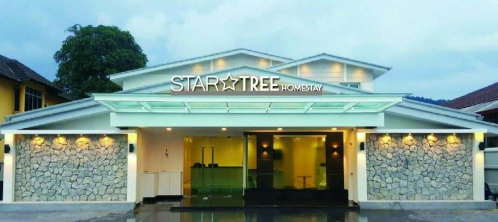 Star Tree Homestay - Featured Image