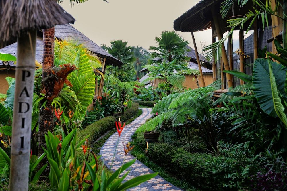 Padi Bali Eco Villas - Exterior