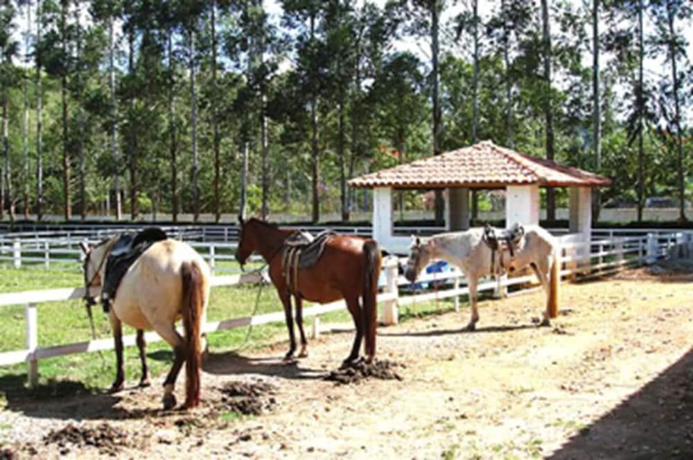 ريزورت ريكانتو دو تيكسيرا - شامل جميع الخدمات - Property Grounds