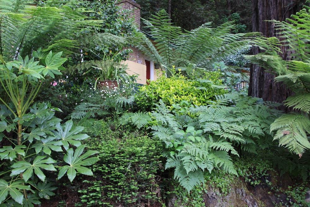 Fern Grove Cottages - Property Grounds