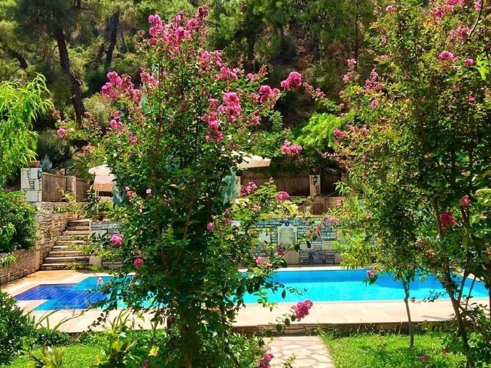 Kamarca House Hotel - Outdoor Pool