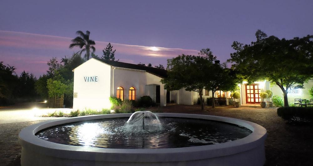 Vine Guesthouse - Featured Image