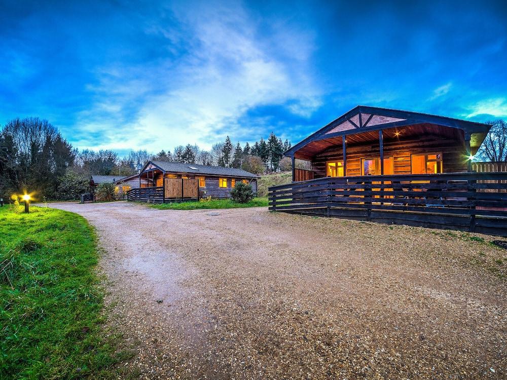New Forest Lodges - Featured Image
