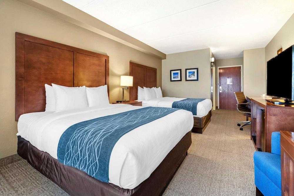 Comfort Inn & Suites Orlando North - Room