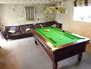 The Somerset Arms - Billiards