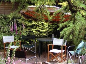 Harrogate Cottage - Garden