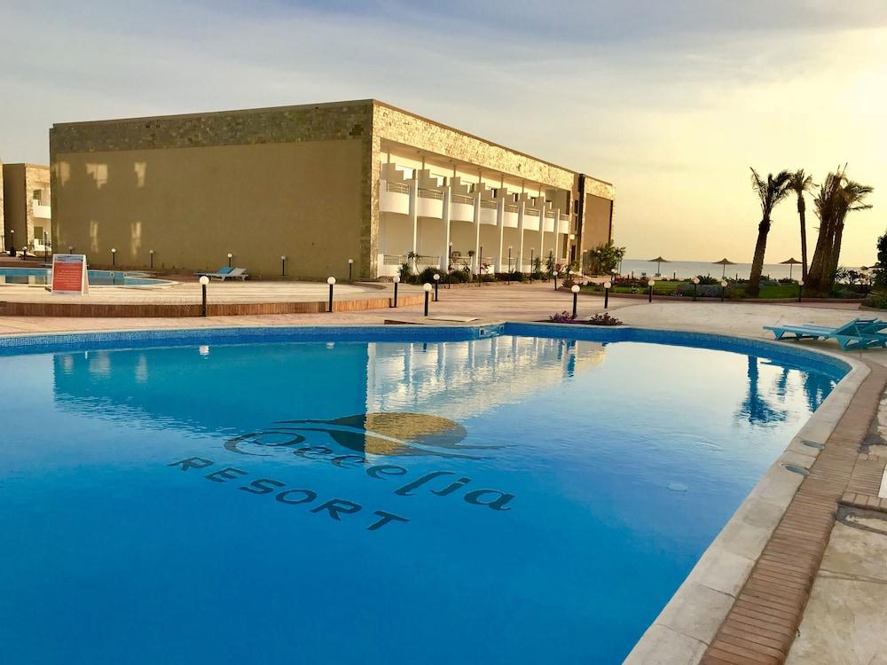 منتجع سيسيليا - Outdoor Pool