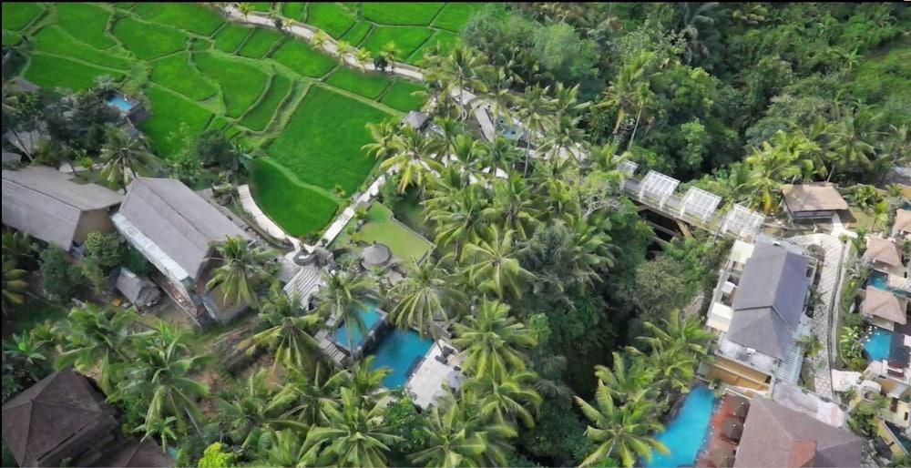 Wapa di Ume Ubud - Aerial View