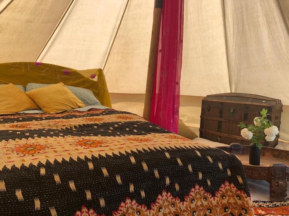 Wild Orchid Bell Tent in The Broads National Park - Featured Image