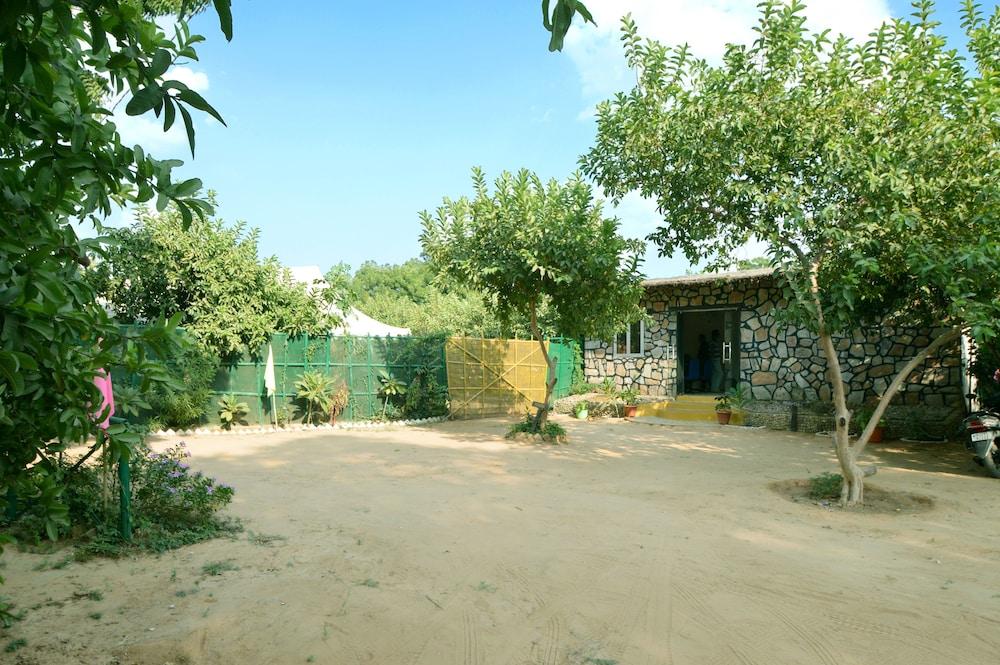 Bagh Dera Camp - Property Grounds